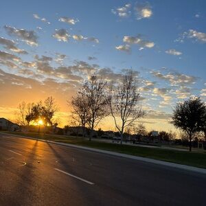 5 lb MYSTERY BUNDLE BOXES